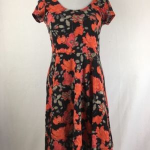 Kimchi Blue Skater Dress